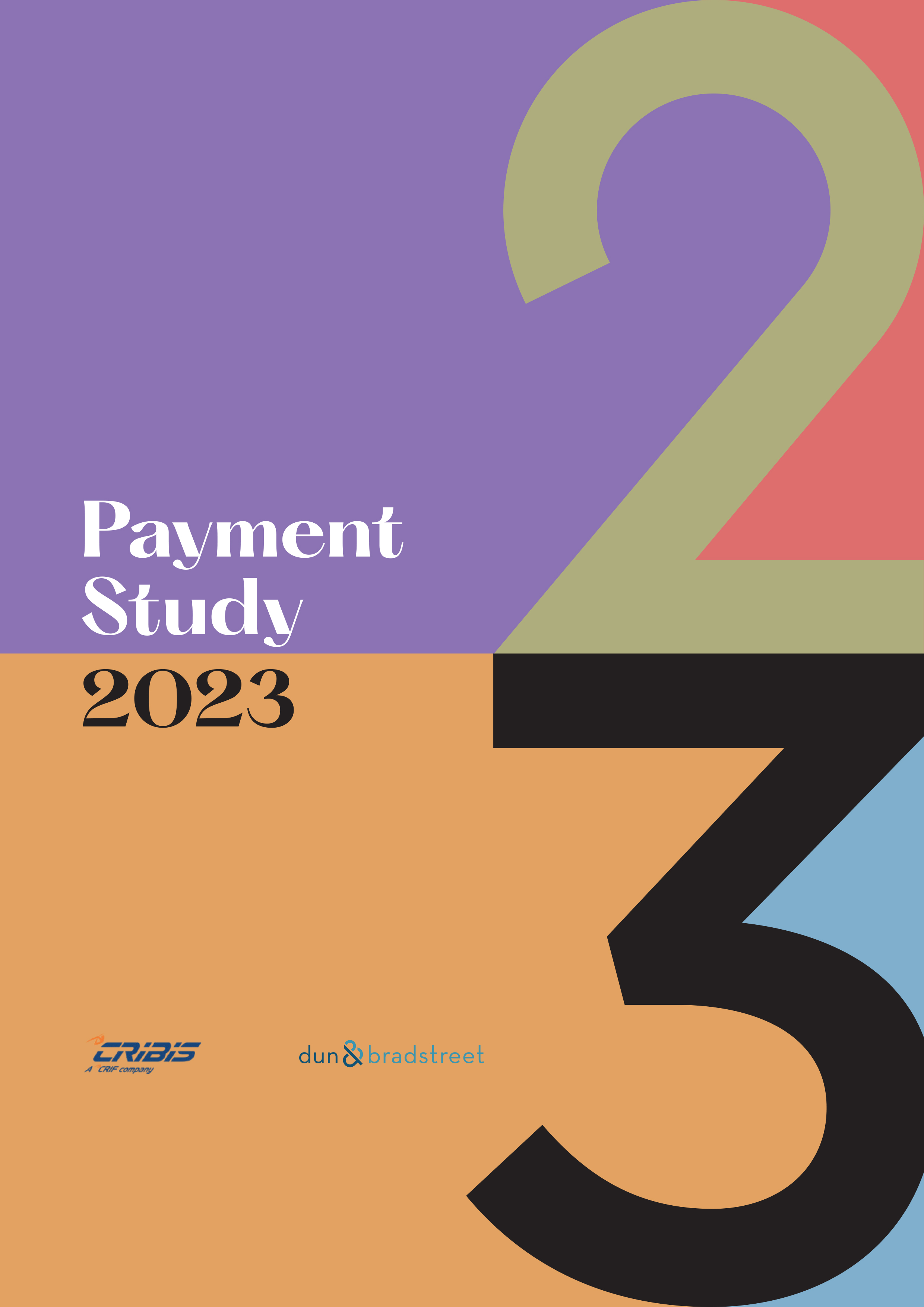 Payment Study Linkedin Görsel